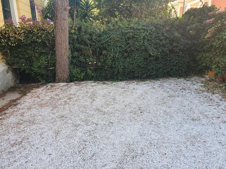La Marinella Localita Caccia Riserva * Santa Marinella